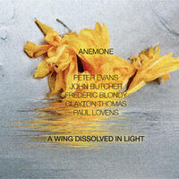 ANEMONE - A Wing Dissolved in Light - CD coverart