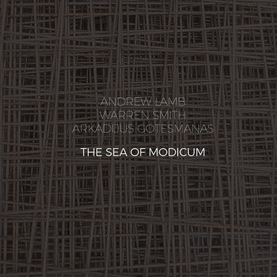 The Sea Of Modicum - 